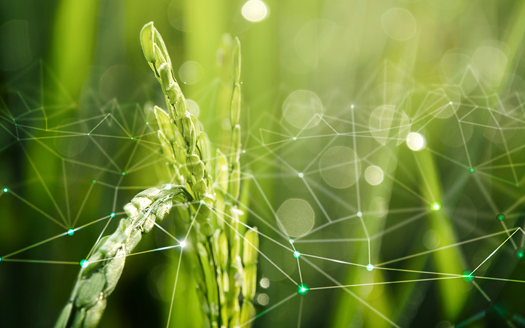 Green technologies