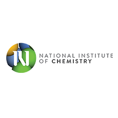 Logo NIC